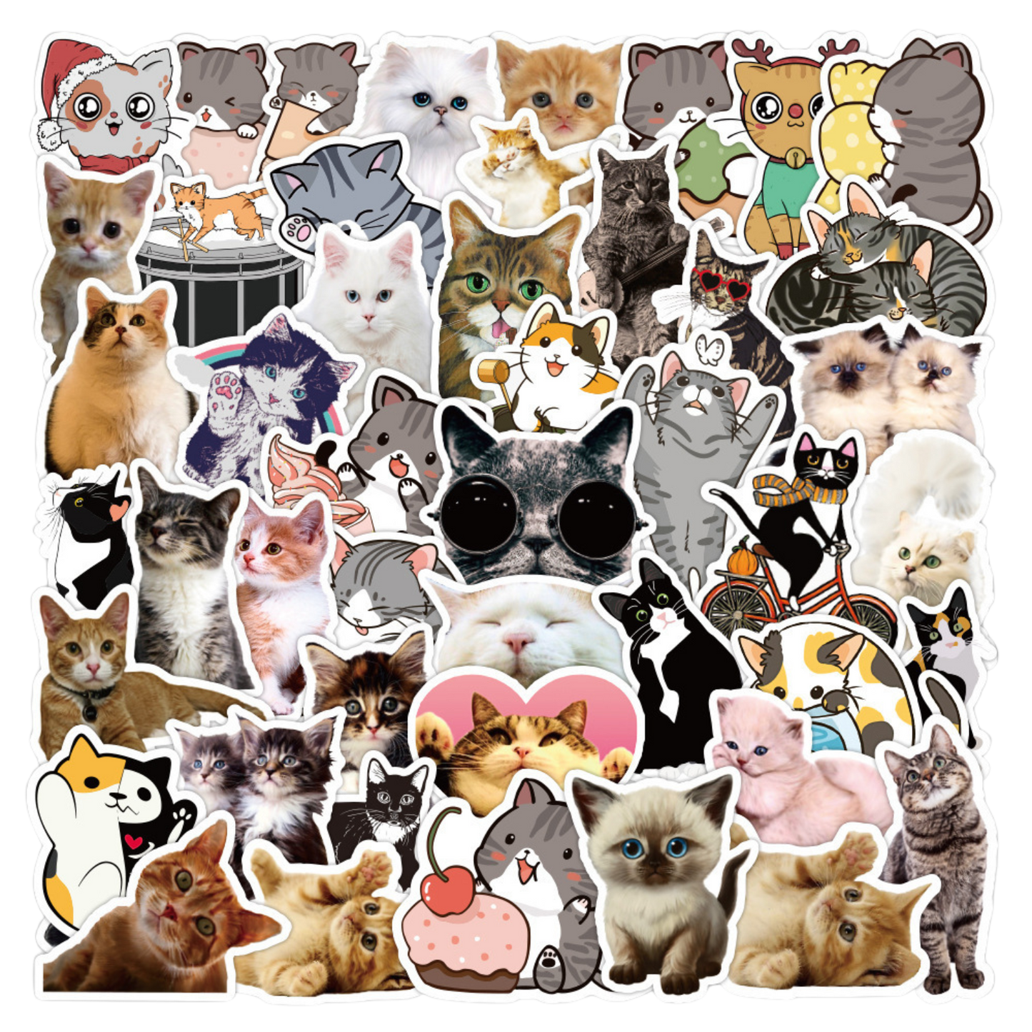 x50 Cat Stickers