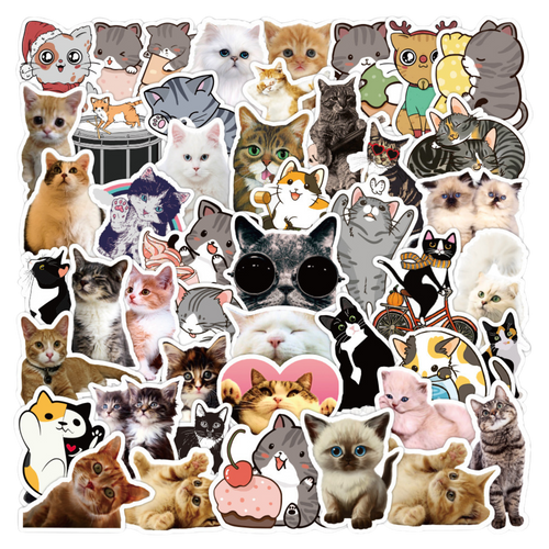 x50 Cat Stickers