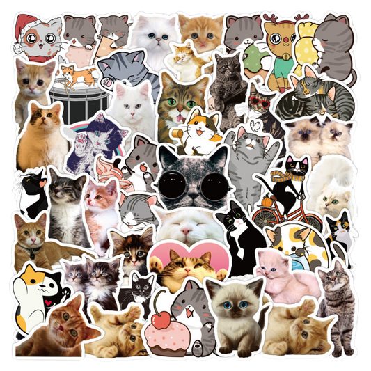 x50 Cat Stickers